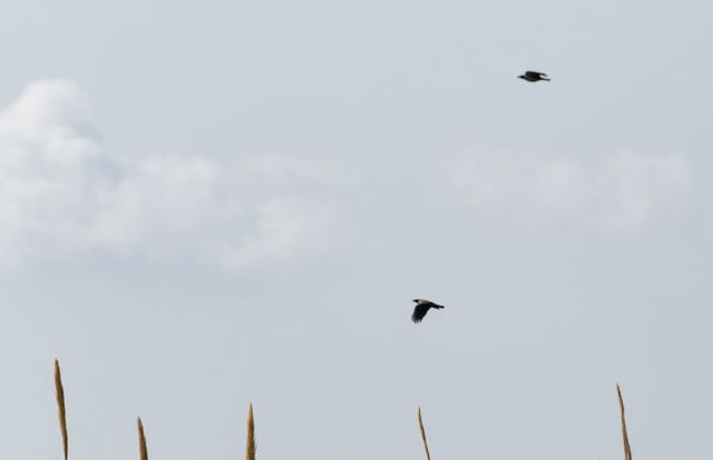 Phaos at Saint John Villas with private heated pool - Foto 71