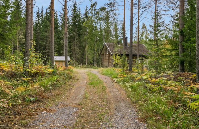 Pikku harrila - Foto 29