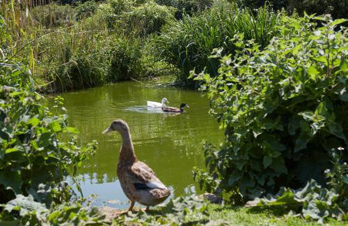 The Old Barn at Moor Farm - Foto 37