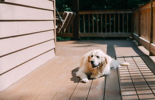 Creekside Oasis! - Foto 74