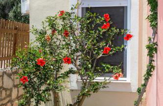 Alkistis Villa - Photo 40