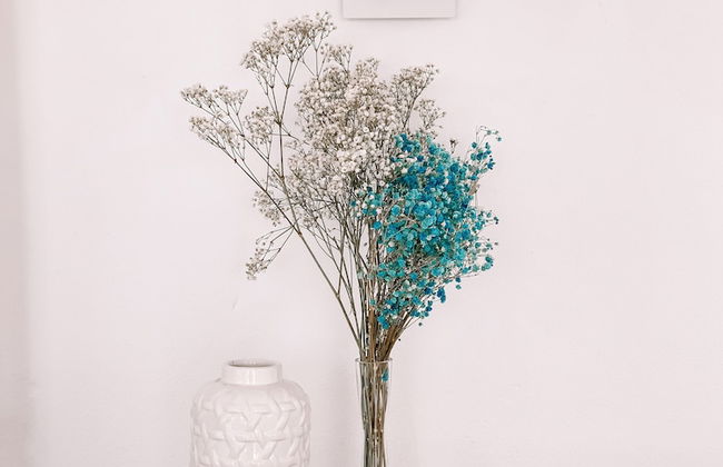 Villa The White Pearl - Photo 48