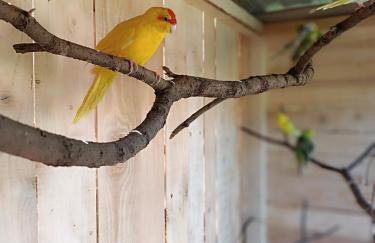 Skała i Las - Foto 6