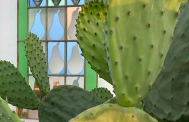 Cà Bianca del Mediterraneo - Foto 16