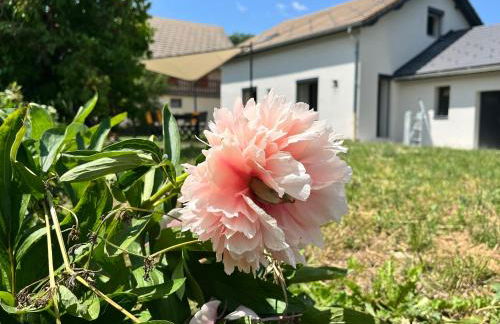 L'écrin du Ferrand - Photo 32