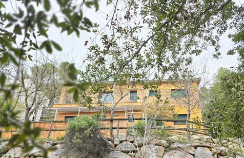 Cal Nene - plamun es - Foto 16