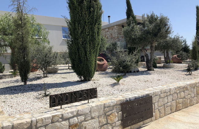 Ayia Marina Villa - Foto 43