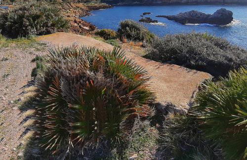 La casetta - Foto 43