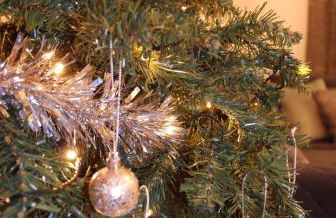 Lazy Days Cottage - Foto 49