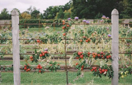 Garden Cottage, Fochabers - Foto 37