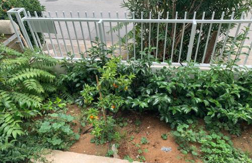 Awesome Home 3' from Metro (M3) Station Agia Paraskevi - Foto 43