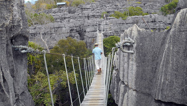 Ankarana National Park - Photo 2