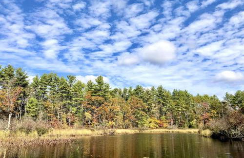 Quiet Maine Cabin Getaway - Foto 43