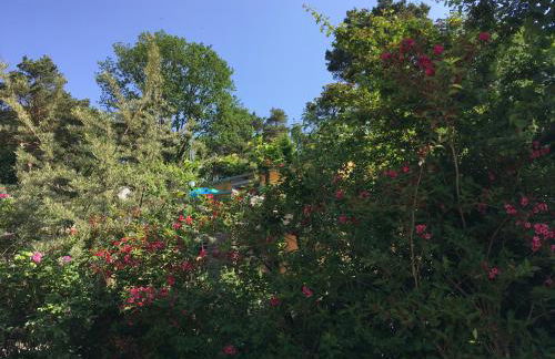 Fewo am Strand in Koserow - Casa del Mar - 42m bis zum Strand - Foto 54