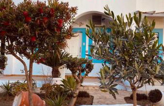 EFFIE'S STUDIOS - Foto 31