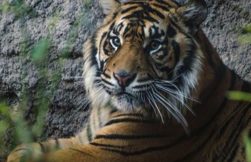 Apartamento Las Brisas - Photo 46