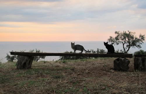 Holiday home Stella di Sicilia - Foto 19