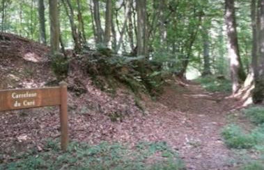 Studio 28 m2 & jardin privatif 20 m2 - Foto 18