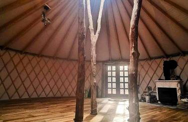 Biały Las Magiczna Stara Chata Puszcza Białowieska - Foto 51