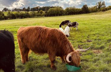 Loaninghead Holidays - Foto 68