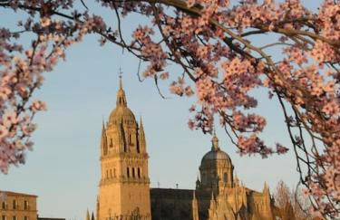 DOMUS SALAMANCA. MELCHOR CANO. Centro. 4 dormitorios - Photo 52