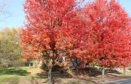 1820 House - VT Charm + Modern Comforts + Hot Tub - Foto 34