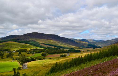 St Louan's - Foto 17