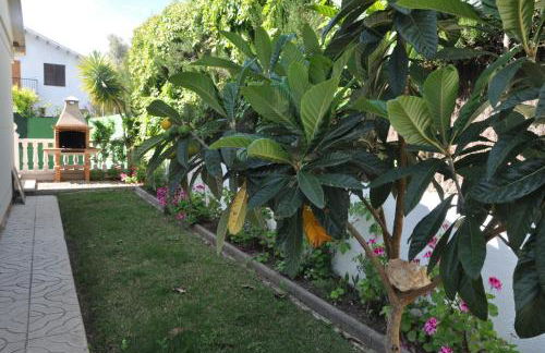 Tenis Roda de Bara - Foto 13