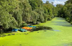 Ferienwohnung Carla Rohls - Photo 7