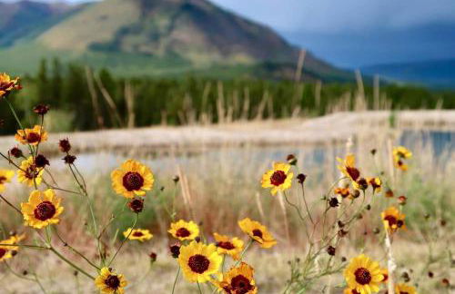 Deluxe Getaway Rental in a Mountain Cabin near Lake McDonald, Montana - Foto 49