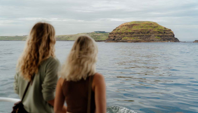 Observation d'otaries - Foto 3, Une expérience inoubliable !