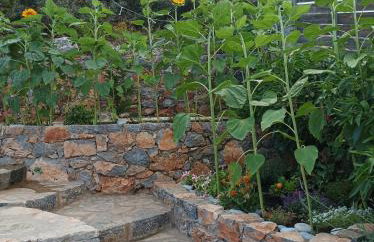 ISTRON BREEZE II - Foto 9