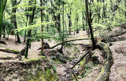 May Cottage - Heart of Vibrant Village & 10 mins Walk to Beach - Photo 24