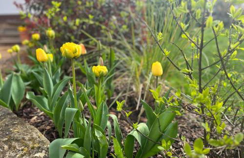 Villa Florentine - Foto 21