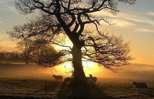 Anvil Cottage - Foto 42