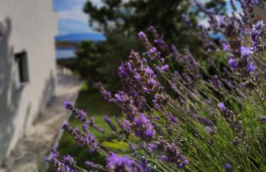 Apartment Tušek - Foto 15