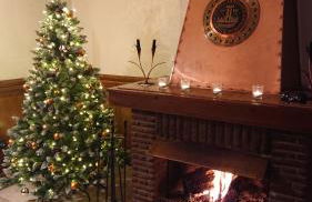 Eifelvilla Urbigkeit - Foto 34