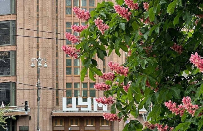 Manhattan High Line Apart - Foto 53