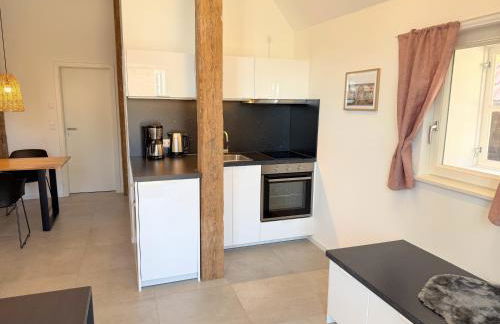 Timmenhus - neue Ferienwohnungen im historischen Bauernhaus - Foto 7