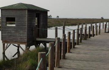 Wherry Green Guest House (PRAIA DA BARRA)❤️ - Foto 45