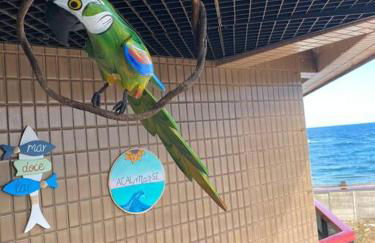 Apartamento à beira mar em Salvador - Photo 5