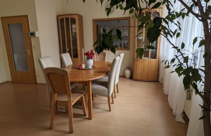 Pension am Park - Foto 41