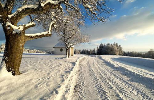 Modernes Familien Tiny House - Natur & Sternenhimmel inklusive! - Foto 35