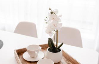 Apartament 8 Rozmarynowa 2 Residence Opole - Foto 1