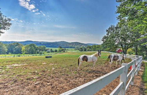 Hillside Cabin on 43 Acres with Private Lake and View! - Foto 21