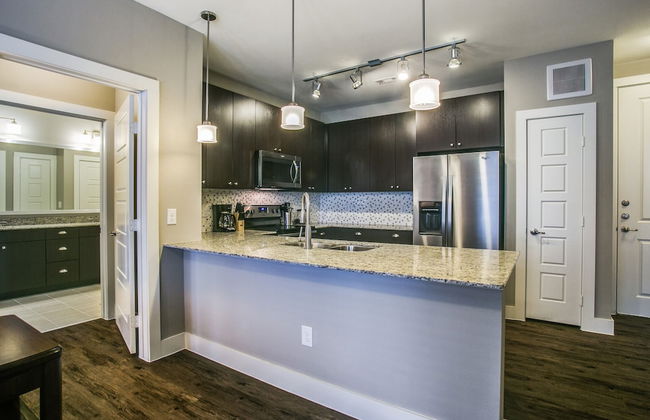 Frisco beautifully furnished 2 br apt - Photo 10