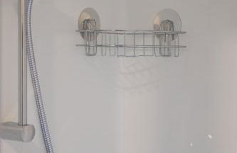 Iguana - Das Tiny Haus am Reptilienzoo Reptilium - Foto 31