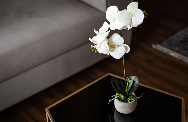 Glyfada Premium Residence - Foto 19