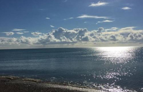 Little Sycamore - Foto 6