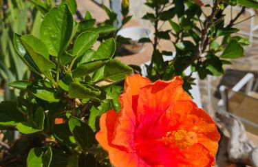 Villa Rosa Cilento - Foto 9